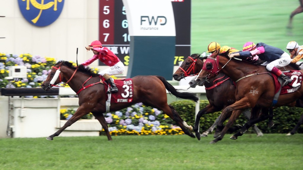 盡善盡美全力留在南半球配種