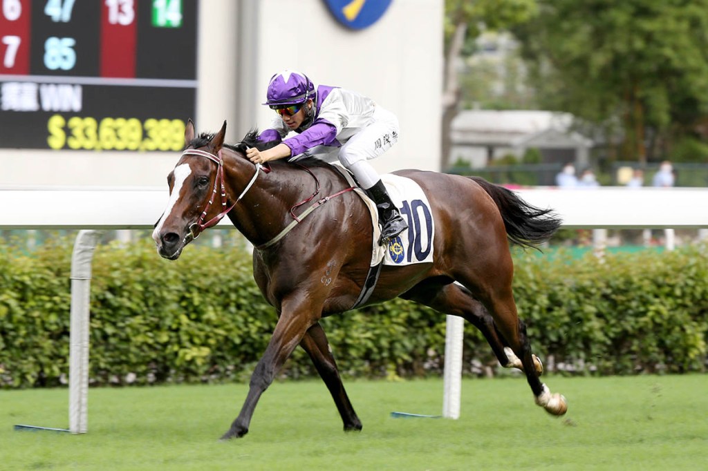 每日賽馬晚報(2020年5月9日),南非賽馬集團有白武士出手,週末大混戰快訊