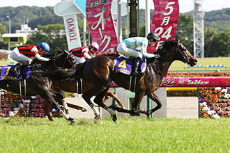 2020年10月18日賽馬日(10場田草泥混合、B+2跑道)+秋華賞特別推介