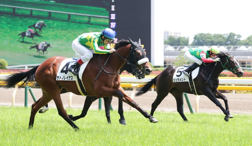 又是一馬獨大，次熱門相當混亂的日本打吡大賽（賠率最終更新）