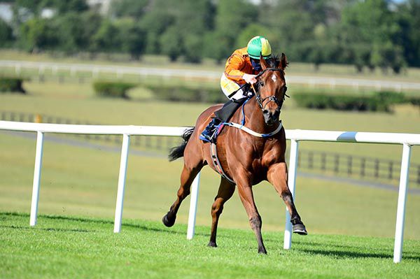 火速上位者存疑求真不幸離世