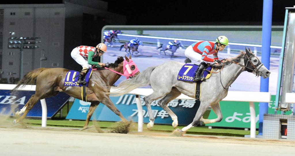 每日賽馬晚報（2020年6月10日），東帝錦標七月復活，雲絲仙子半妹直接投降