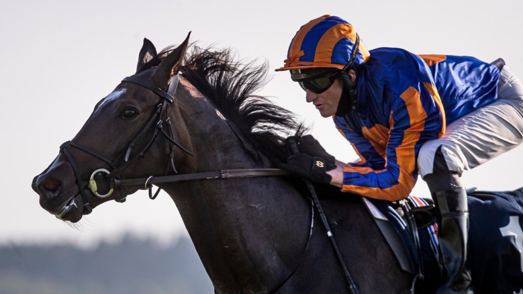 愛爾蘭一千堅尼，Peaceful守好位先發制人