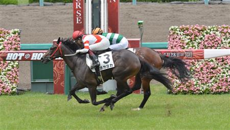 每日賽馬晚報（2020年6月13日），九州熊本產馬新馬賽照贏，南非籍紐西蘭騎師再次終身停賽