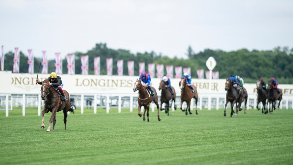 每日賽馬晚報（2021年6月15日），巴富達要求中止紐約賽馬會禁制令，澳洲約翰摩亞單飛開倉第一擊