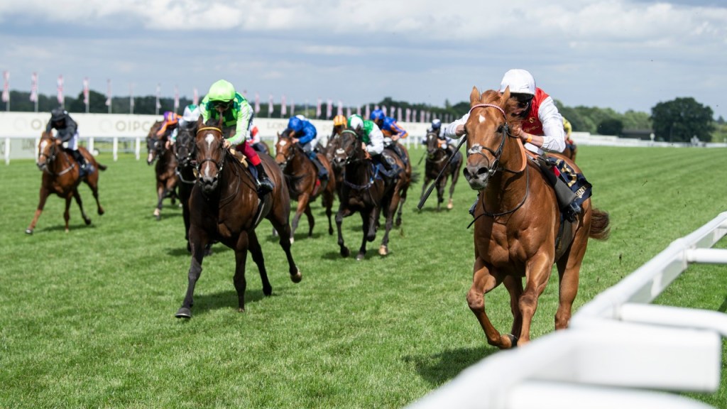 英聯邦盃，金帳汗國一級賽順利紮營。