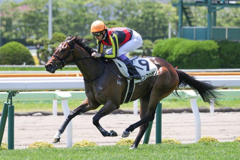 每日賽馬晚報（2020年6月20日），皇家雅士谷賽事餘下戰報，范高爾子嗣日本一出狂勝五個馬位