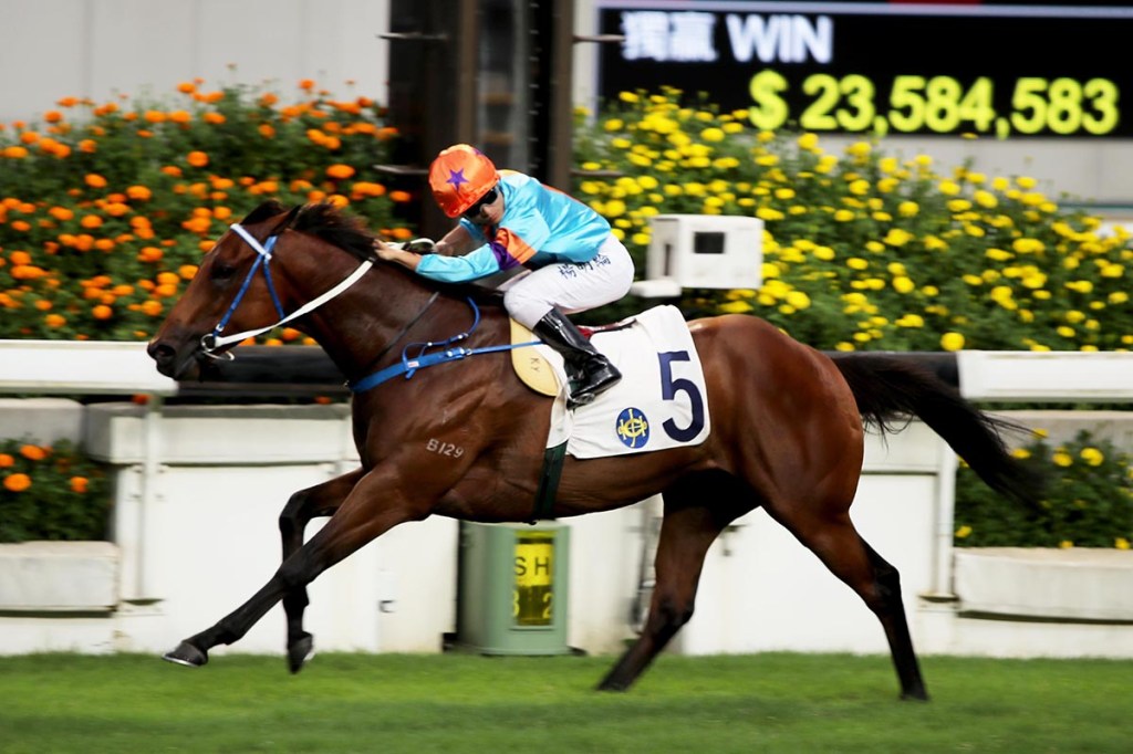 香港國際賽事氣泡對決，與龍共舞用華將一哥試試看
