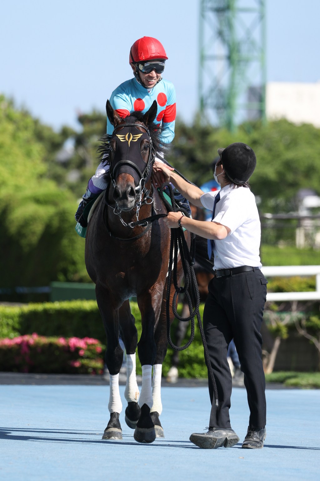 每日賽馬晚報（2020年6月21日），「超級星期六加長版」，英美日愛主要大戰，無敗馬Ten Year Ticket來港上陣