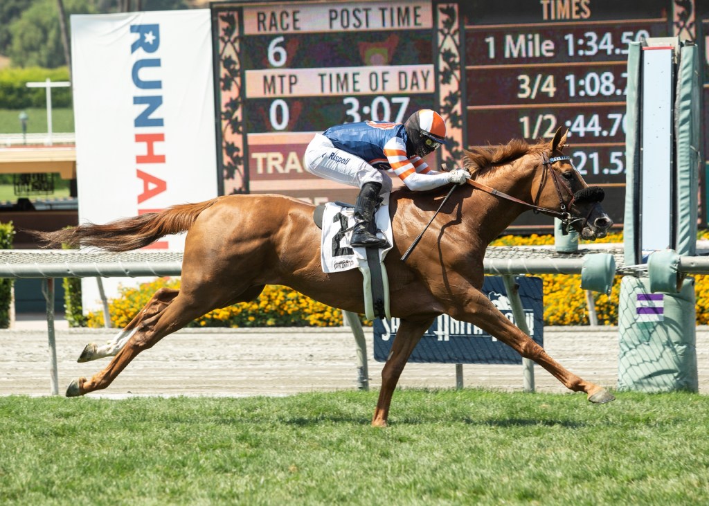 李寶利等15人中招，德爾馬中止週末賽事