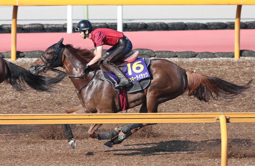 每日賽馬晚報（2020年6月24日），雌馬New York Girl加入愛爾蘭打吡，前香港馬大有作為完全無用