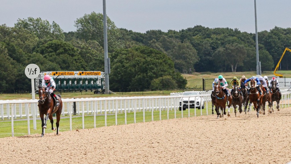 每日賽馬晚報(2020年6月28日),「超級星期六特別版」,Midnight Bisou行過贏馬,滿樂時連地方種馬也不如