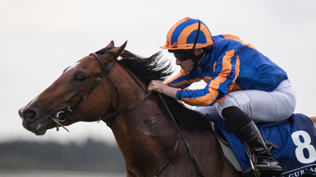 2020年7月4日葉森打吡賽馬日「不專業」推介（已完成）