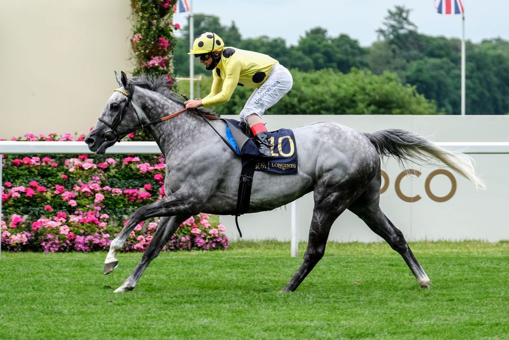 每日賽馬晚報（2021年1月18日），戴圖理人在杜拜，皇家雅士谷確定一日七場