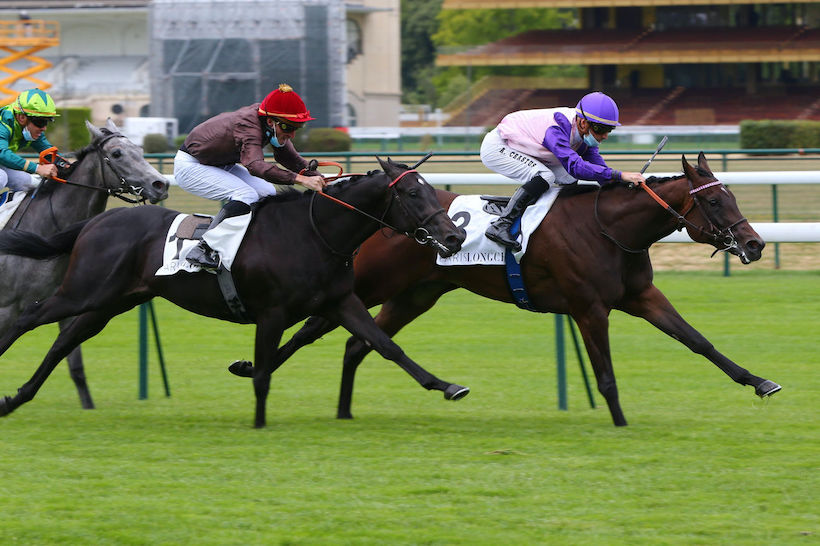 每日賽馬晚報（2020年7月3日），日美地區投注額報捷，日蝕大賽七匹賽駒點將