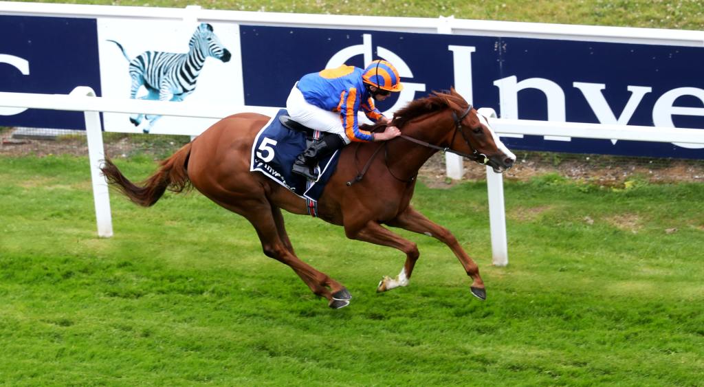 心之所慕放眼凱旋門