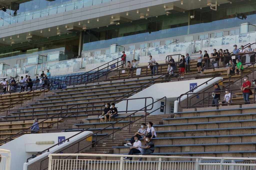 2020國際馬壇大事回顧總集篇