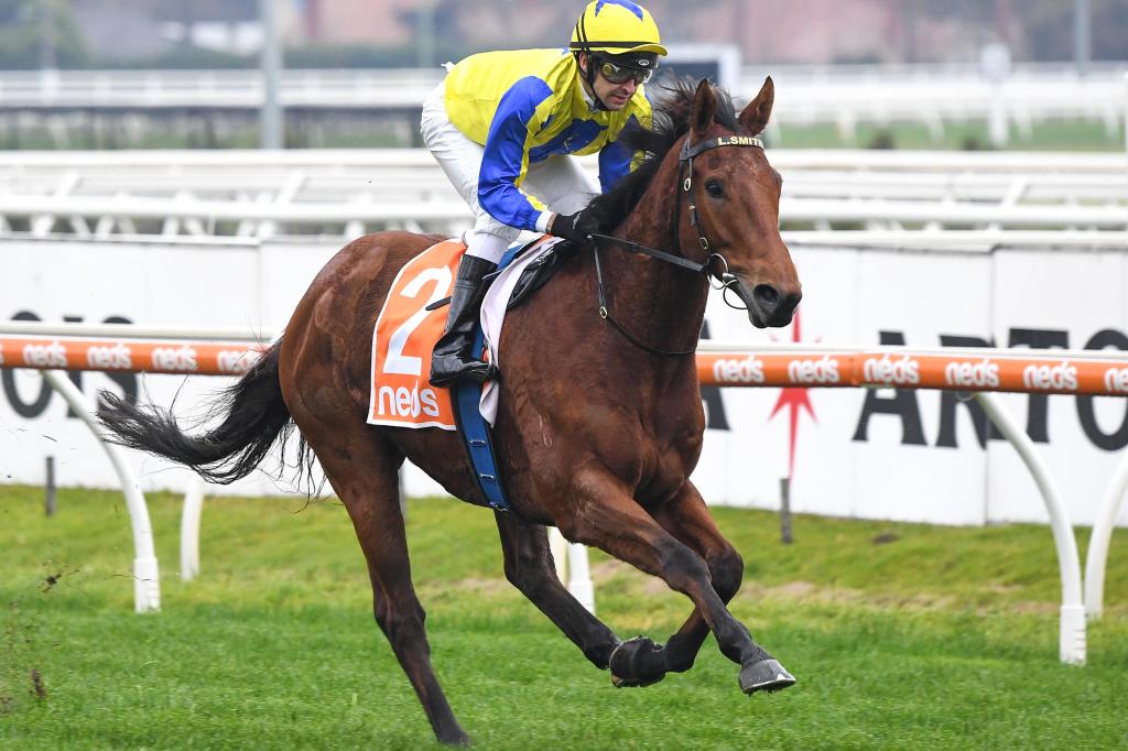 每日賽馬晚報（2020年7月11日），War of Will返草地照贏一級賽，香港馬主「狙擊」Mystery Shot