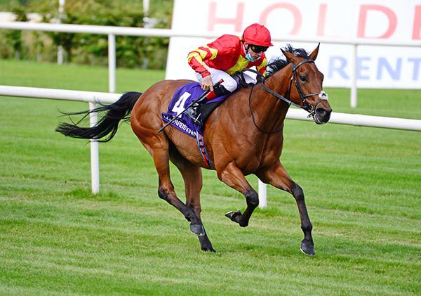 主題賽事又得四駒？愛爾蘭冠軍錦標打成怎樣？