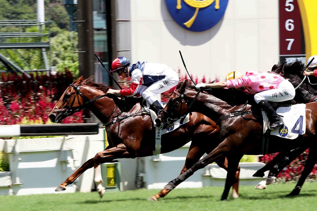 沙田一哩錦標，百步穿雲食最終頂班寶尾