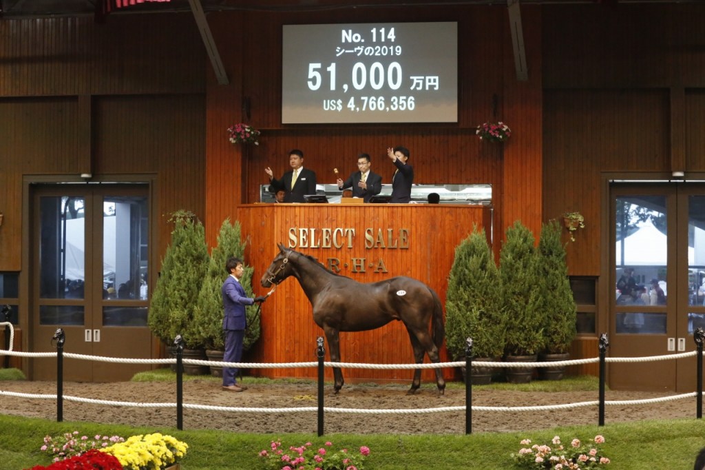 每日賽馬晚報（2020年7月13日），美國出現騎師感群組嗎？麥晴欣成分級賽冠軍騎師