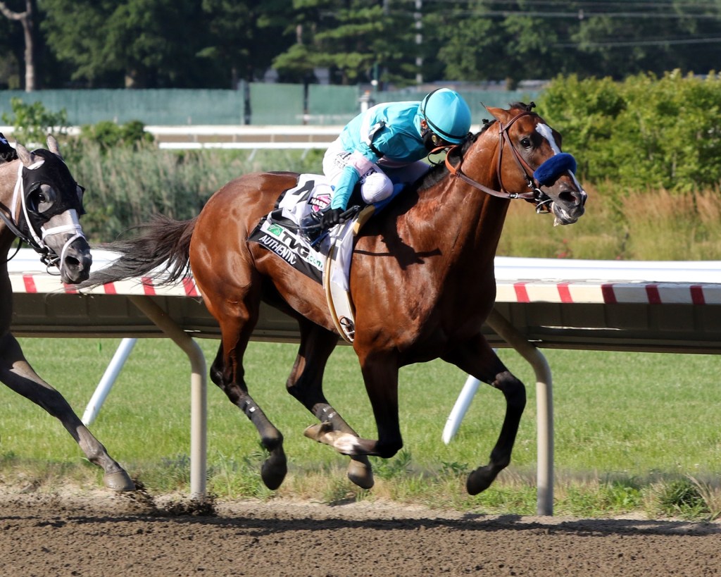 赫斯基錦標，Authentic贏馬後可替巴富達補充兵源