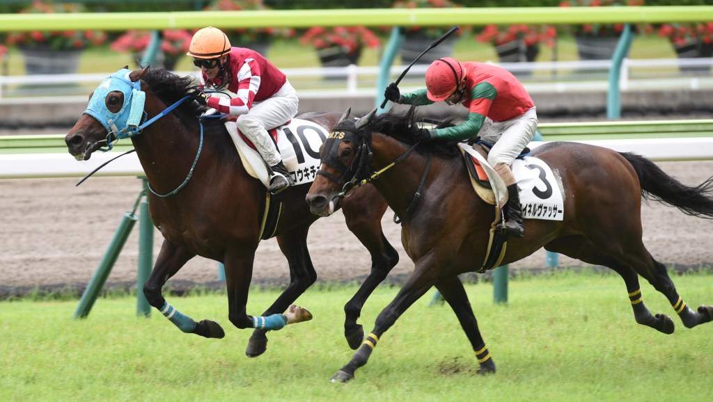 每日賽馬晚報（2020年7月18日），卓芙之女打開勝利之門，澳洲舉行一場相隔171年再舉行盃賽
