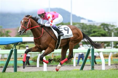 每日賽馬晚報（2020年7月19日），日本人木村和士贏出加拿大分級賽，東商變革半妹Pink Kamehameha輕鬆大勝