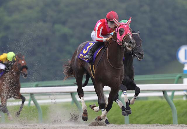 每日賽馬晚報(2020年7月21日),岳伯仁報英皇錦標隨時彈出,征戰過美國的Master Fencer在地方交流戰取下初勝