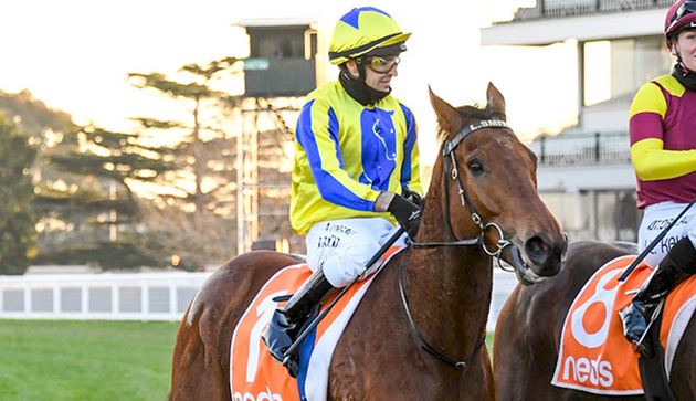 Mystery Shot再收到香港馬主收購