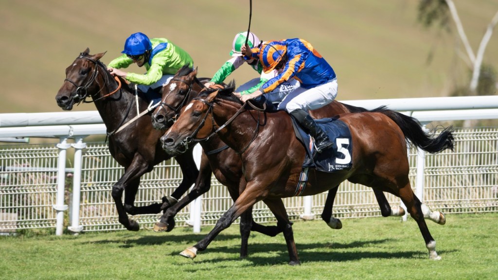 哥頓錦標，業界巨頭大逆襲