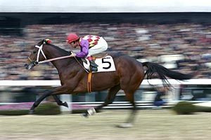 歷史名駒系列Plus，三為一體的TTG（中），TTG最後對決及Tosho Boy種馬成功之路