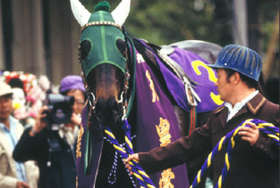歷史名駒系列Plus，三為一體的TTG（下），Ten Point奮戰鬥死，Green Grass的最後一哩路