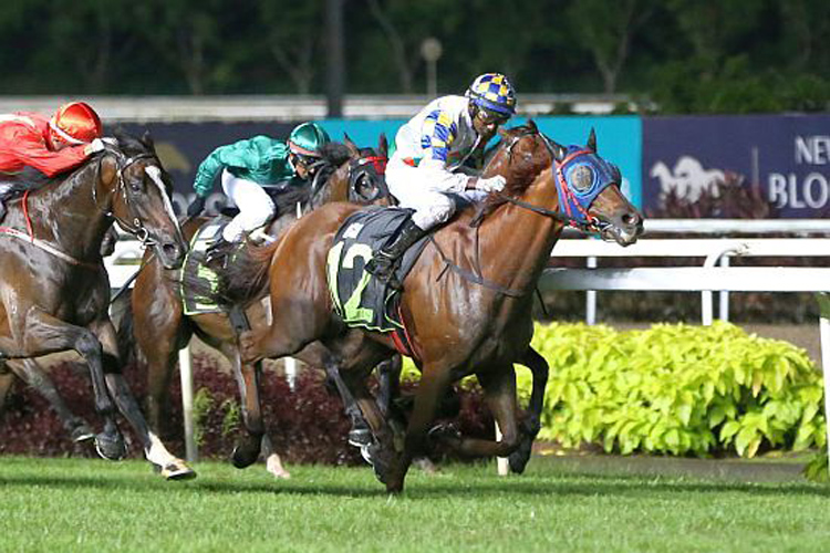 轉播賽最終遺珠,克蘭芝一哩賽前瞻