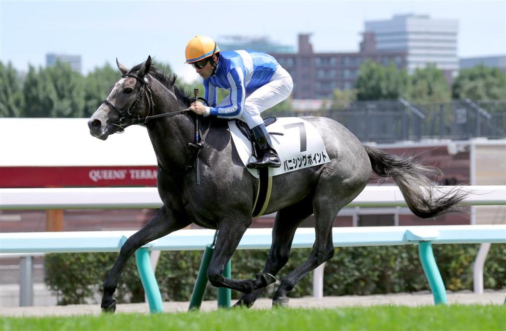 每日賽馬晚報(2020年9月17日),29匹歐洲馬準備前往澳洲,已有日本練馬師揚言挑戰肯塔基打吡,哀悼施慕齡特集