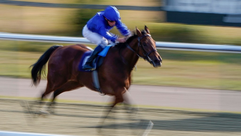 每日賽馬晚報（2020年8月6日），新南威爾斯賽馬會向維省馬主發出最後警告，法國障礙賽騎師過磅室毆打罰兩個月停賽