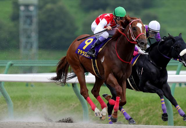 杜拜世界盃賽馬日日本老將，馬泰領空可怕的海外遠征威力