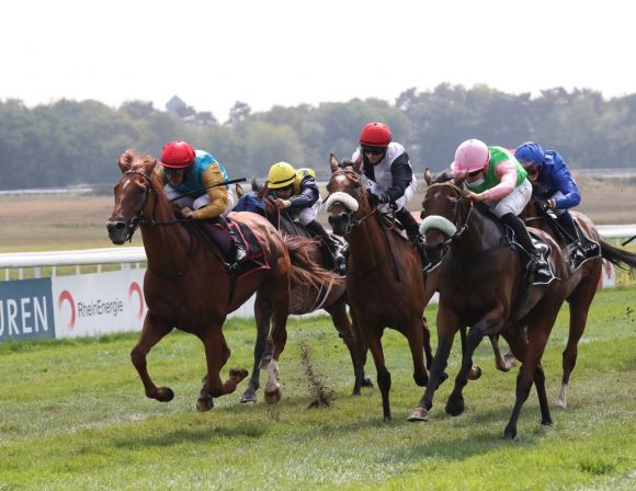 每日賽馬晚報（2020年9月1日），莫雅已隔離準備前往愛爾蘭、美式法老南半球子嗣首度試閘亮相