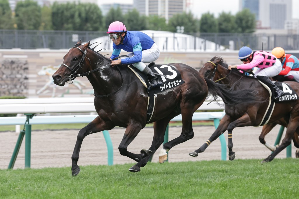 每日賽馬晚報(2020年8月17日),日出之國全妹推出拍賣,國際錦標六駒接戰