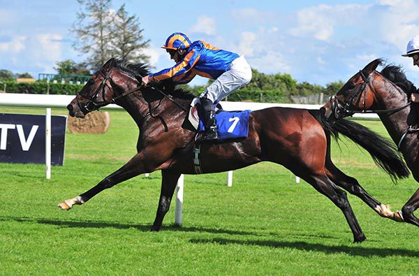 每日賽馬晚報（2020年8月19日），星耀峻嶺轉戰歌劇錦標，巴特殊最大兩匹對手是一對三歲馬