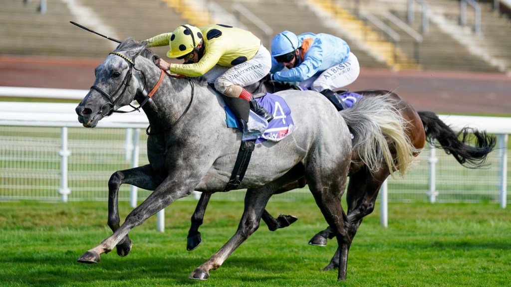 聯酋世子操練因傷不幸離世