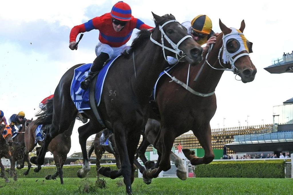 雲絲仙子錦標,雍容爾雅先拔頭籌