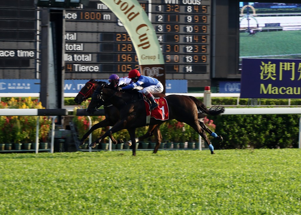 澳門金盃，聖靈之都圓滿結束今季行程