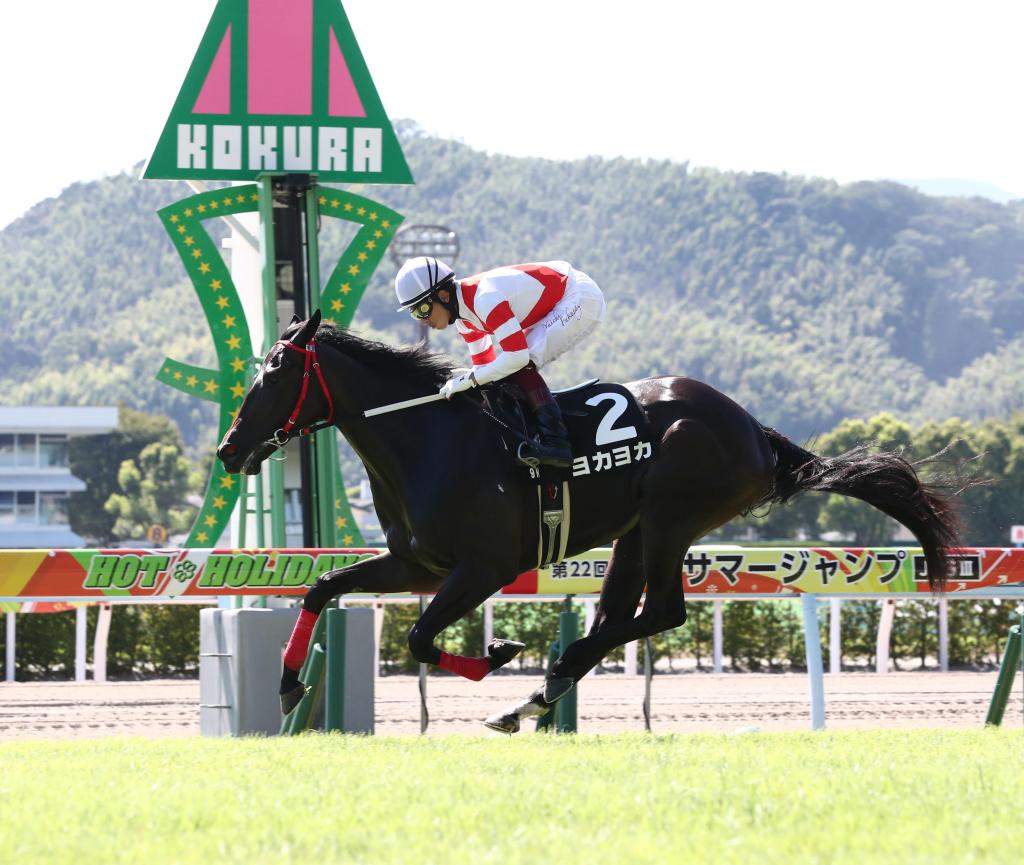 每日賽馬晚報(2020年12月9日),香港國際賽事場外專區,熊本馬突襲週日一級賽