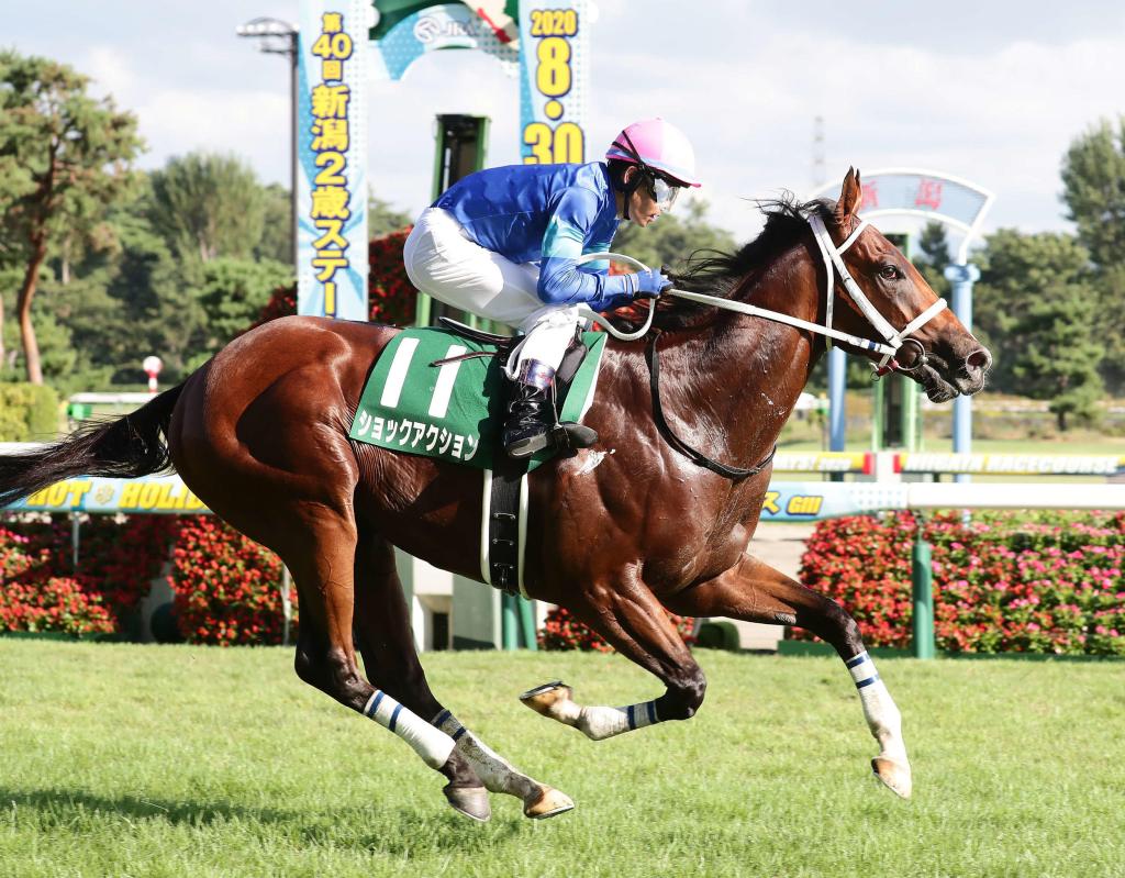 高多芬在日本成功要訣，靠的是歐洲方面的沒有的第三者