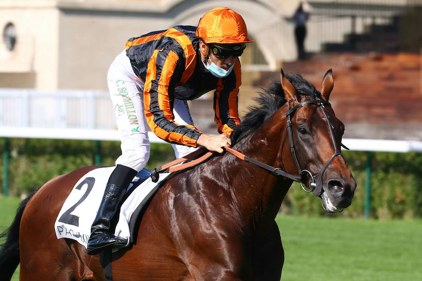 多維爾大賽,廣播員在法國找不到對手