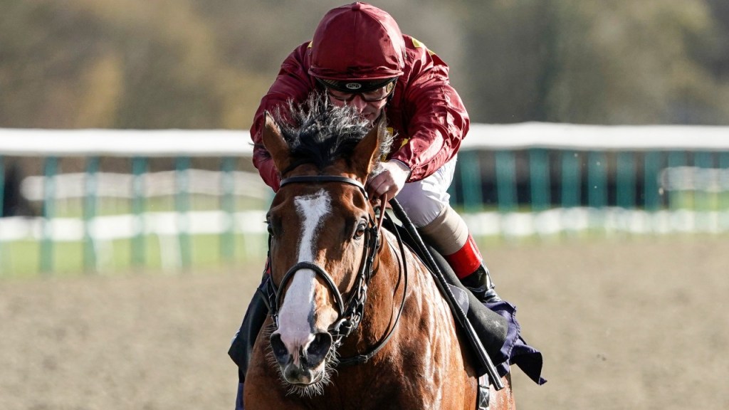 希斯兩大自購馬本週抵達