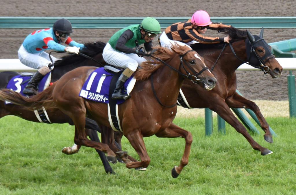 短途馬錦標黑馬介紹，超神建築高松宮雪辱戰