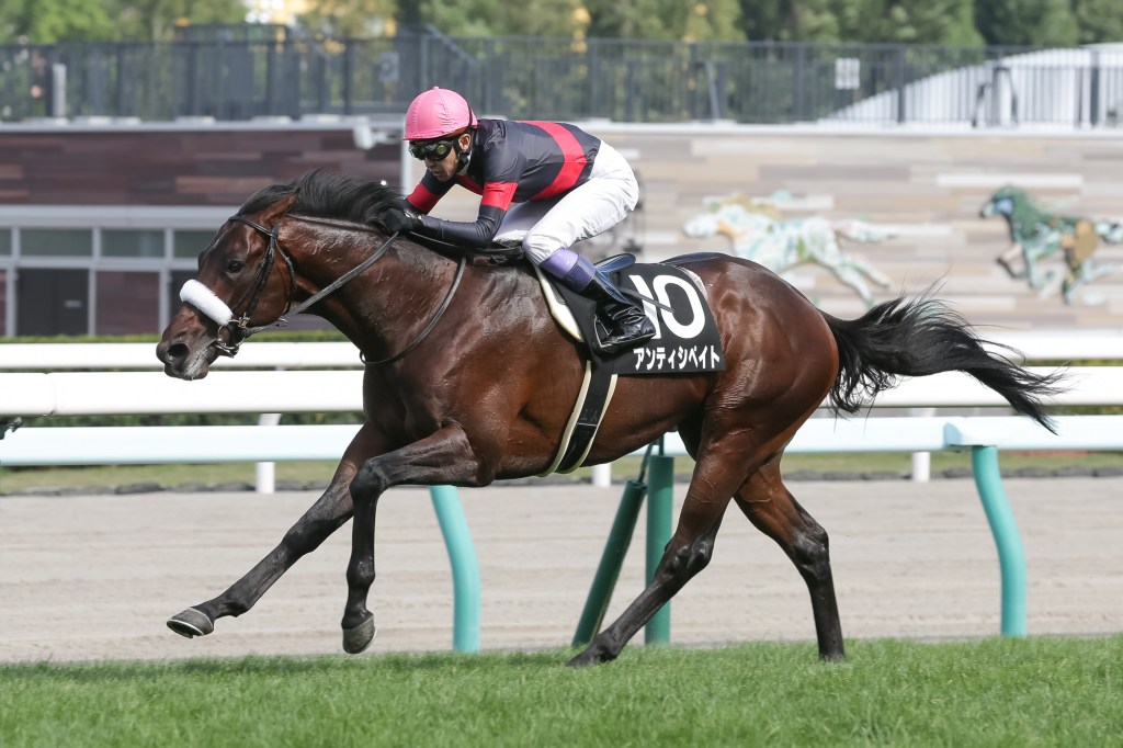 每日賽馬晚報（2020年9月8日），澳洲兩大盃賽公佈讓磅，聖烈治錦標留意不速之客