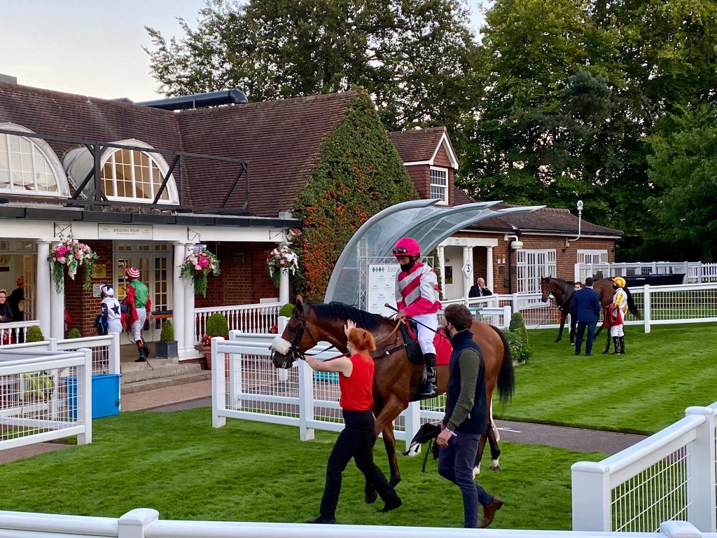 鄭雨滇的支持從何來？三年做過什麼